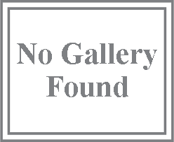 No Gallery Found